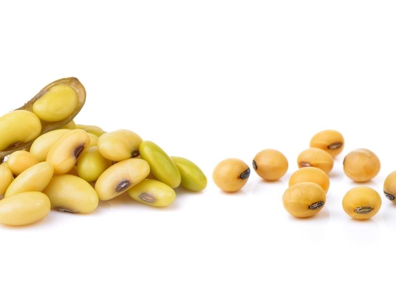 soya-fasulyesi-nedir
